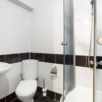 Номер "Стандарт 3м. кор. Олимп"