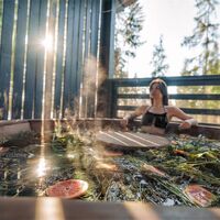 Номер "Forest Le Petit BBQ с купелью (Les Villages)"