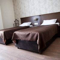 Стандарт с двумя раздельными кроватями Гостиницы Смолка