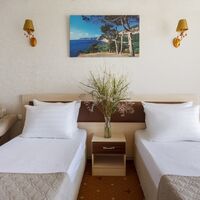 Номер "Стандарт 3м."