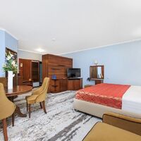 Номер "Junior Suite"