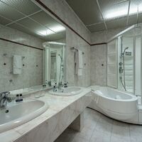 Номер "Сьют VIP/ Suite VIP"