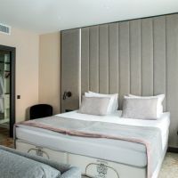 Номер "Делюкс (корпус \"Гранд\")"