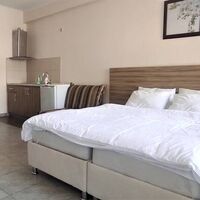 Студия 4-местная Гостевого дома Голд Нива