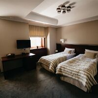 Стандарт с двумя раздельными кроватями Отеля Круиз