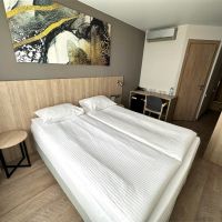 Бизнес с двуспальной кроватью Бизнес-отеля Амакс Сити-отель