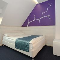 Стандарт 1 кровать Отеля Никола