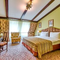 Делюкс Кинг мансарда Гранд Отеля Поляна