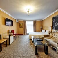 Студия (Доп.корпус) Парк-отеля Vnukovo Village Park Hotel & Spa