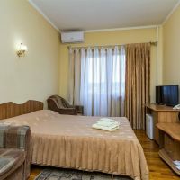 Стандарт 1-комнатный Отеля У Бочарова ручья