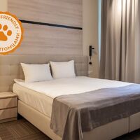Стандарт Pet Friendly Парк-отеля Дубки