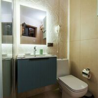 Номер "Апартаменты VIP"