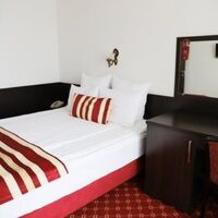 Номер "Стандарт (вид на лес)"