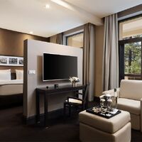 Делюкс (вид на парк) Гранд Отеля & Спа Родина