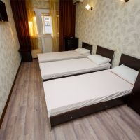 Стандарт 3-местный с тремя кроватями Отеля Самара