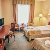 Standard Twin Room (1 корпус) Гостиницы Ринг Премьер Отель