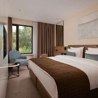 Стандарт с двуспальной кроватью Отеля Palmira Garden