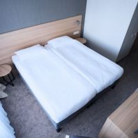 Бизнес с двуспальной кроватью Отеля Амакс Конгресс-отель Хабаровск