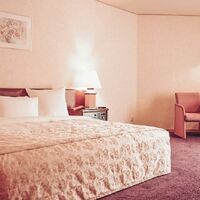 Стандарт с двуспальной кроватью Отеля Санта Ризот