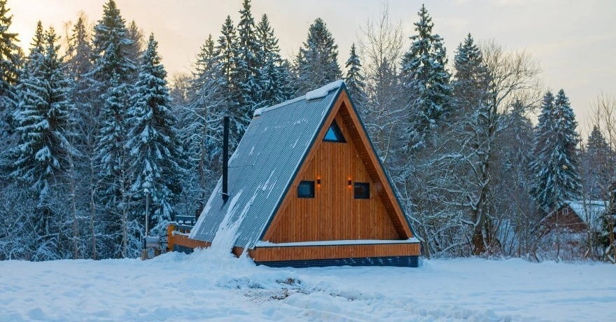 Официальное фото Гостевого дома Pine Forest Хвойный лес  звезды