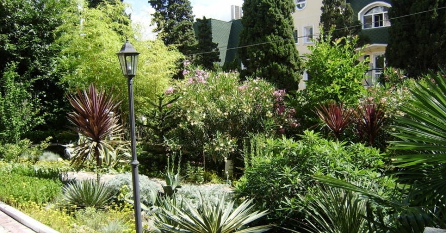 Официальное фото Отеля Чайная горка 3 звезды