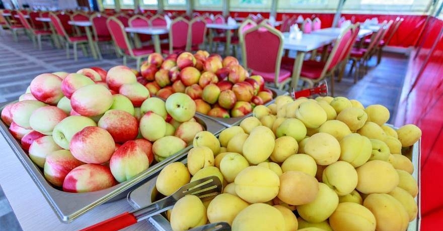 Официальное фото Пансионата Фёдор Шаляпин 3 звезды