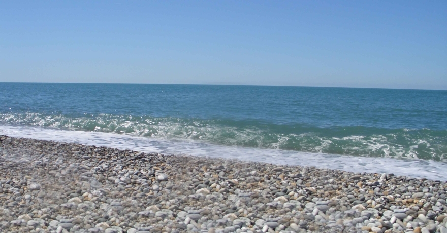 Официальное фото Пансионата Вея звезды