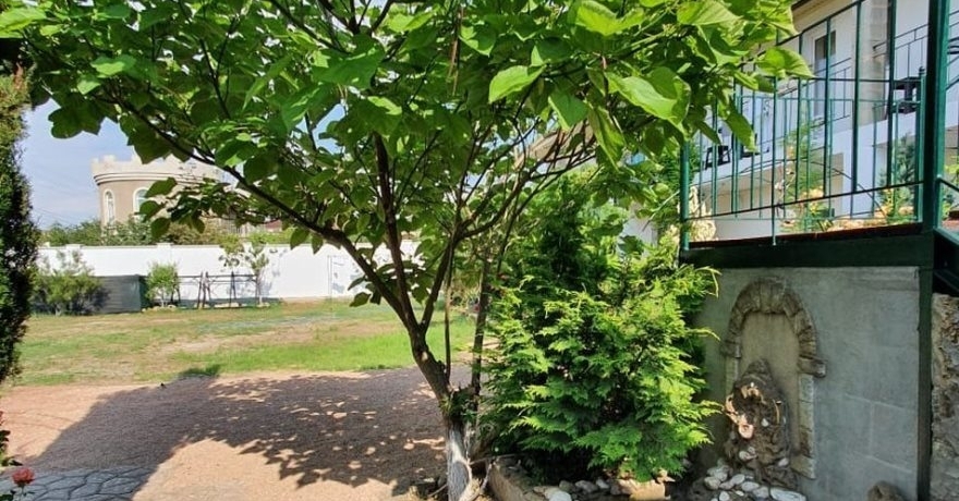 Официальное фото Гостевого дома Анастасия  звезды