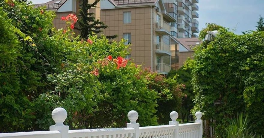 Официальное фото Отеля Ola Resort 4 звезды