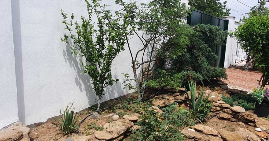 Официальное фото Гостевого дома Анастасия  звезды