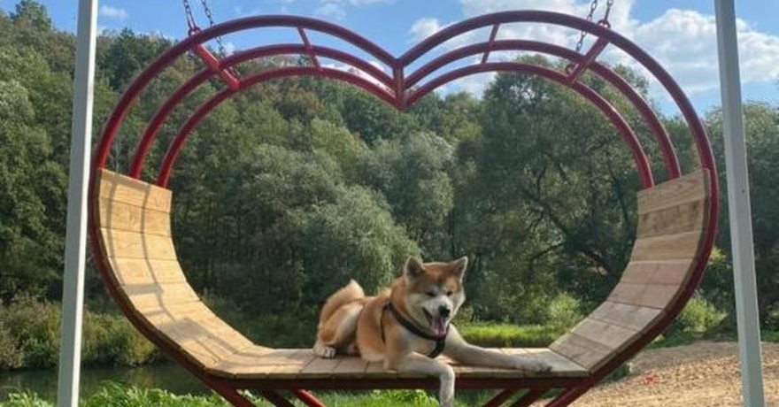 Официальное фото Эко-отеля Бобровый мыс  звезды