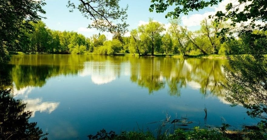 Официальное фото Парк-отеля АМАКС Ершово  звезды