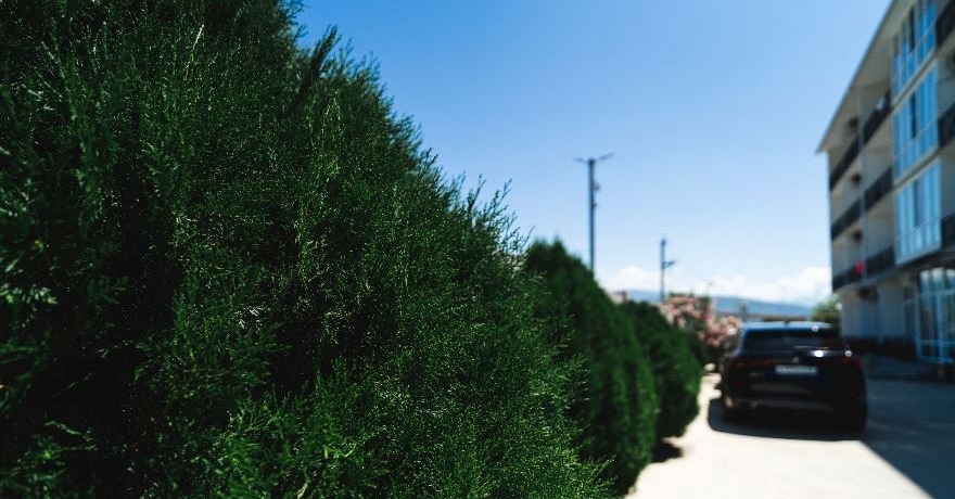 Официальное фото Отеля Грейс Сария  звезды