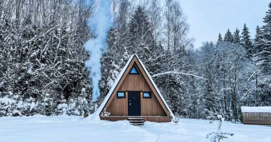 Официальное фото Гостевого дома Pine Forest Хвойный лес  звезды