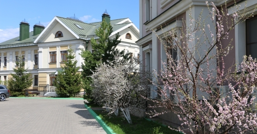 Официальное фото Арт-Отеля Николаевский Посад 5 звезды