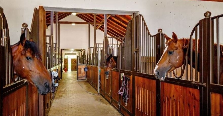 Официальное фото СПА-Отеля Орлиное Гнездо 4 звезды