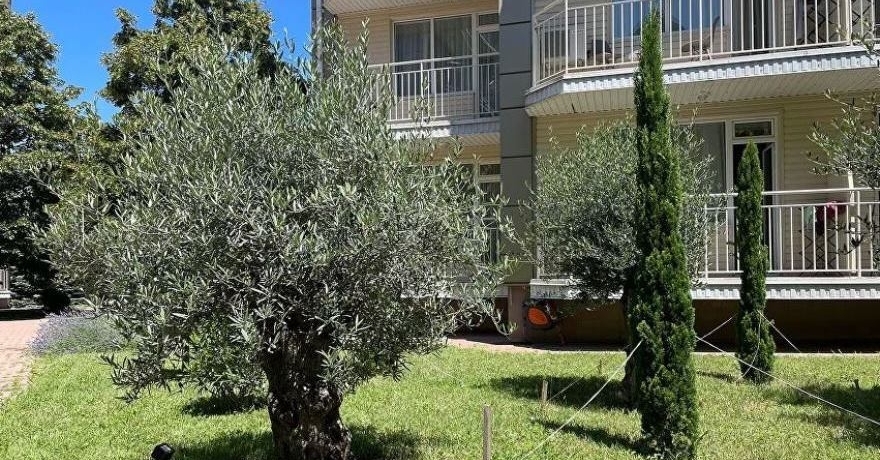 Официальное фото Отеля Ola Resort 4 звезды