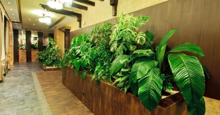 Официальное фото Парк-отеля Троя 4 звезды