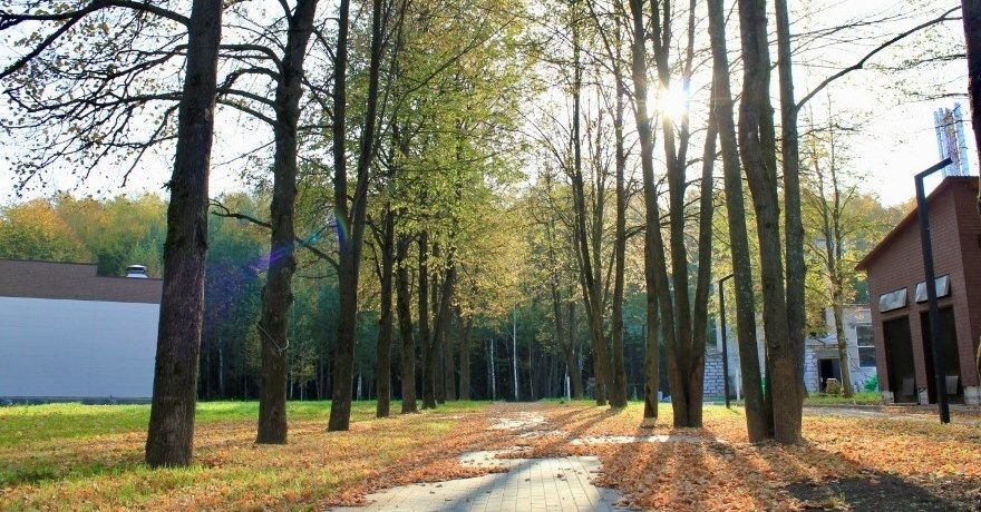 Официальное фото Парк-отеля Дубки 4 звезды