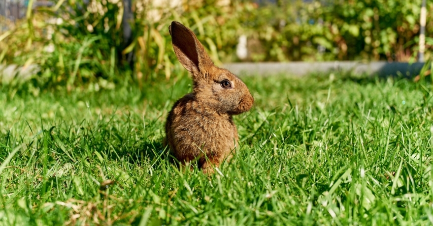 Официальное фото Парк-отеля Vnukovo Village Park Hotel & Spa 4 звезды