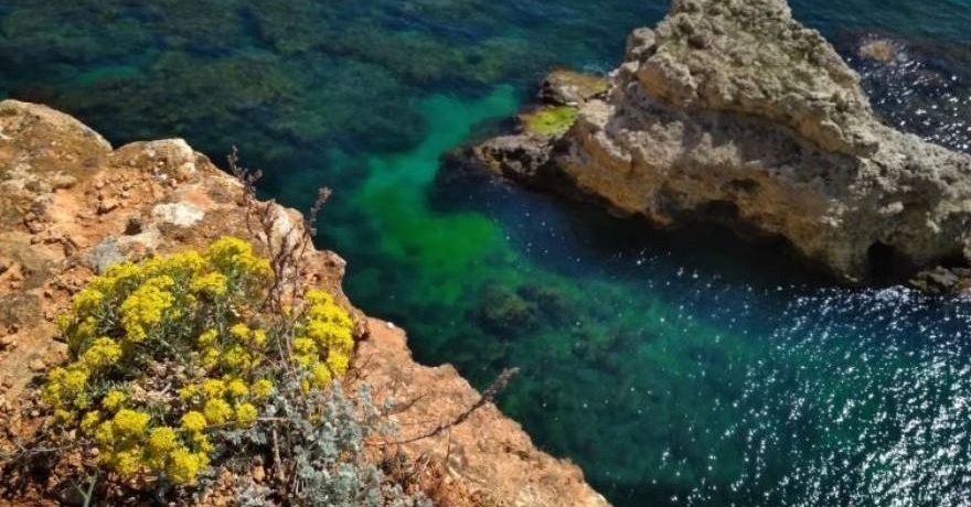 Официальное фото Гостевого дома Березка Юг  звезды