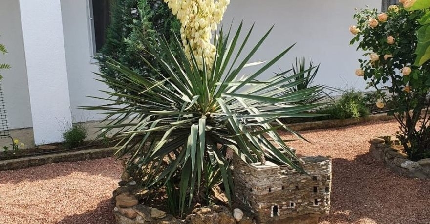 Официальное фото Гостевого дома Анастасия  звезды