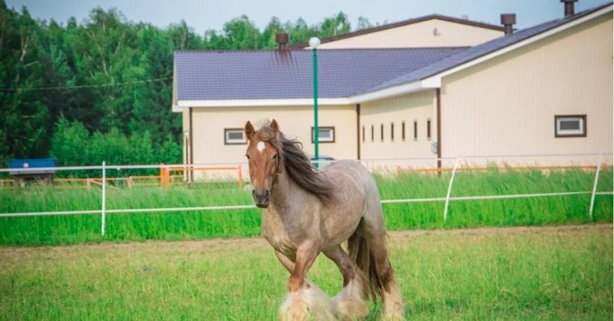 Официальное фото Гостинично-ресторанного  комплекса Премьер 3 звезды