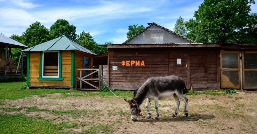 Официальное фото Эко-отеля ВКС Кантри звезды