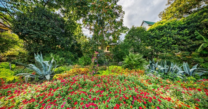 Официальное фото Гостевого дома Оазис звезды