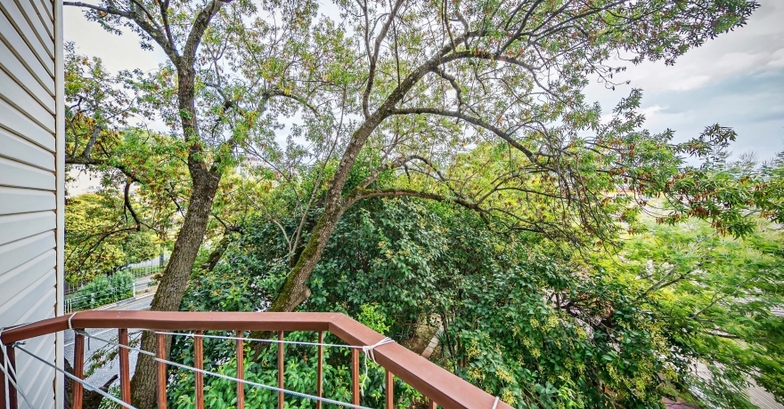 Официальное фото Гостевого дома Оазис звезды