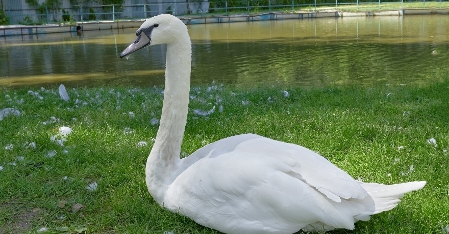 Официальное фото Парк-отеля Звенигород 3 звезды