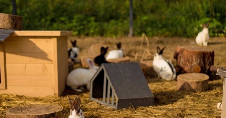 Официальное фото Парк-отеля New Riga Village 3 звезды