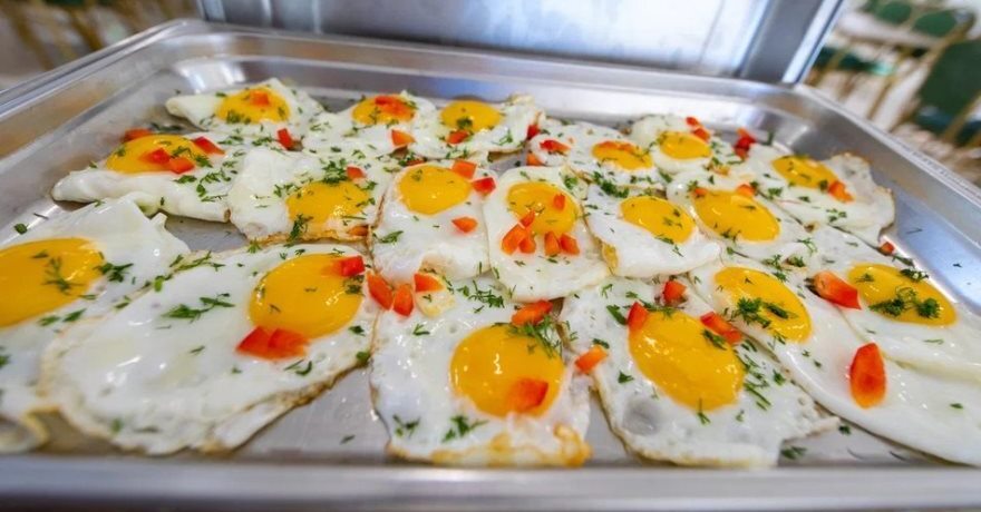 Официальное фото Отеля Family Resort 2 звезды