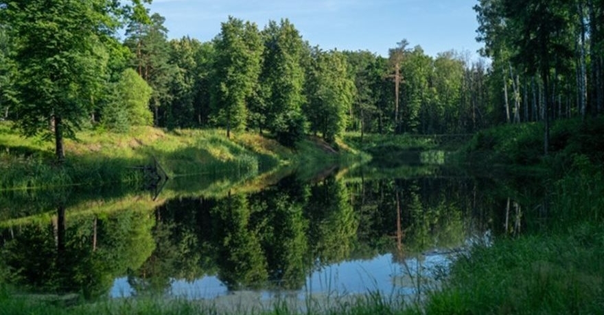 Официальное фото Парк-отеля Розендорф 3 звезды
